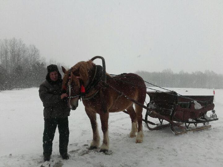 Dom Na Wsi ,, Koszelowka " Koszele  Buitenkant foto