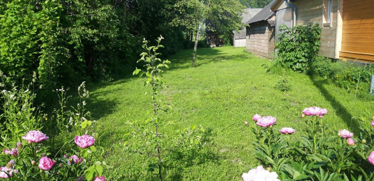 Dom Na Wsi ,, Koszelowka " Koszele  Buitenkant foto